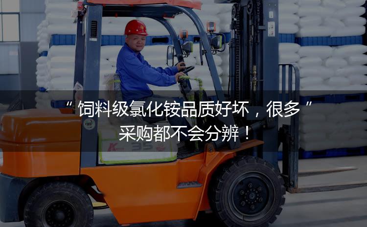 飼料級氯化銨品質(zhì)好壞，很多采購都不會分辨！
