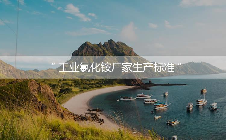 工業(yè)氯化銨廠家生產(chǎn)標(biāo)準(zhǔn)，生產(chǎn)過程進(jìn)行嚴(yán)密的監(jiān)控！